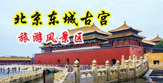 插女人大屁眼视频中国北京-东城古宫旅游风景区